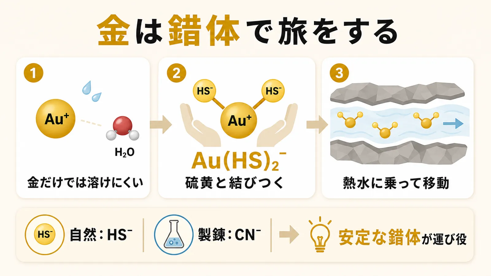 金イオンが単独では水に溶けにくく、硫化水素イオンと結びついてAu(HS)₂⁻という安定な錯体になり、熱水に乗って移動することを示した図解