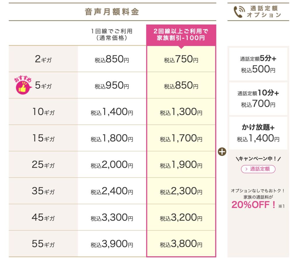 日本通信SIMからIIJmioに乗り換えた理由|小学生の子供と家族でデータシェアを使う運用例(図2)