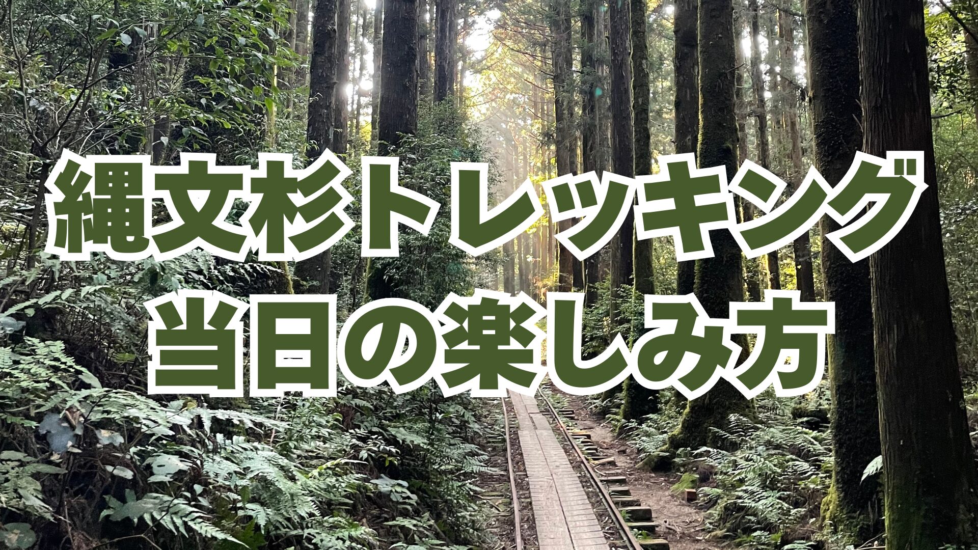 縄文杉トレッキング当日レポート｜小学5年生と挑む往復10時間の登山スケジュール